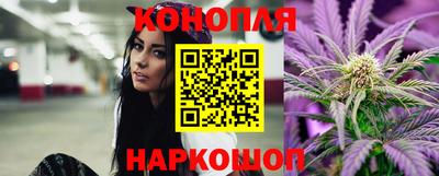 прущие грибы Пыть-Ях