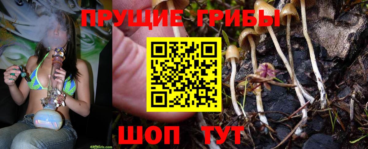 Галлюциногенные грибы GOLDEN TEACHER  Вход с VPN  Сочи 